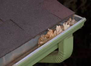 Chatham Gutter Installation