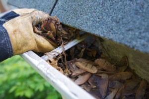 Fall Cleanup - Leaves in Gutter